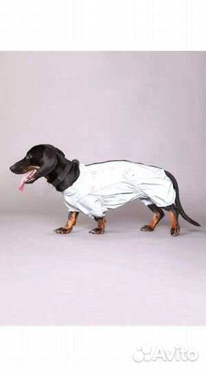 Комбинезон дождевик для собаки
