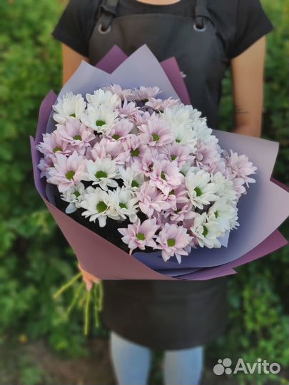 Хризантема Кустовая Оптом премиум класса