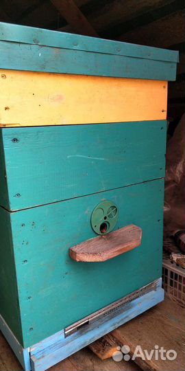 Улей Дадана 10 рамочный