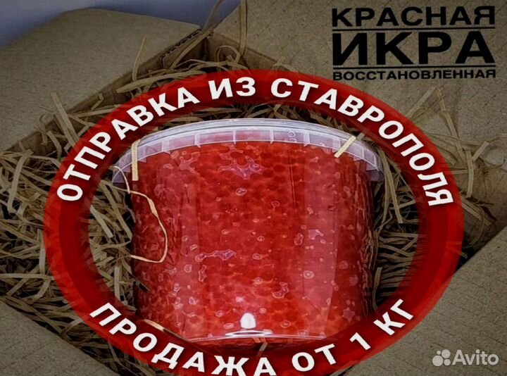 Красная икра оптом