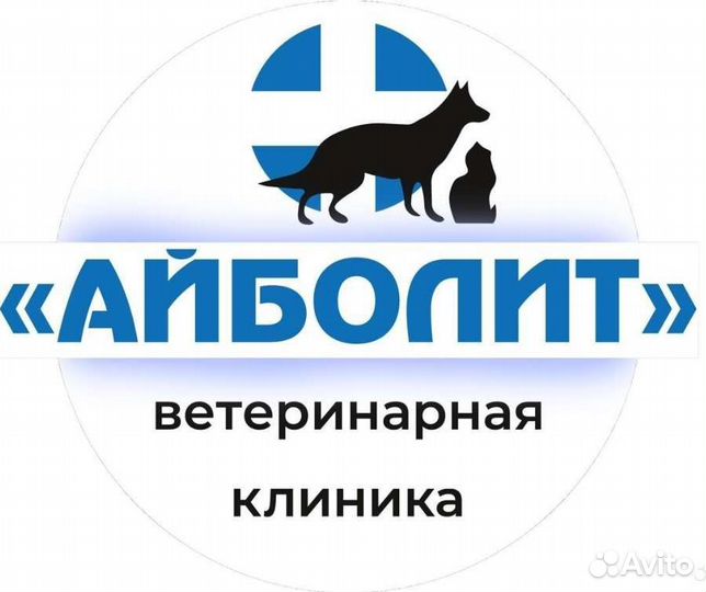 Оператор колл центра