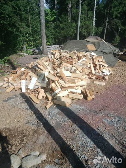 Дрова сухие