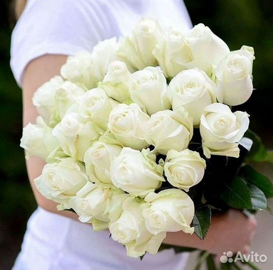 Высокие розы Гигантские розы Доставка цветов