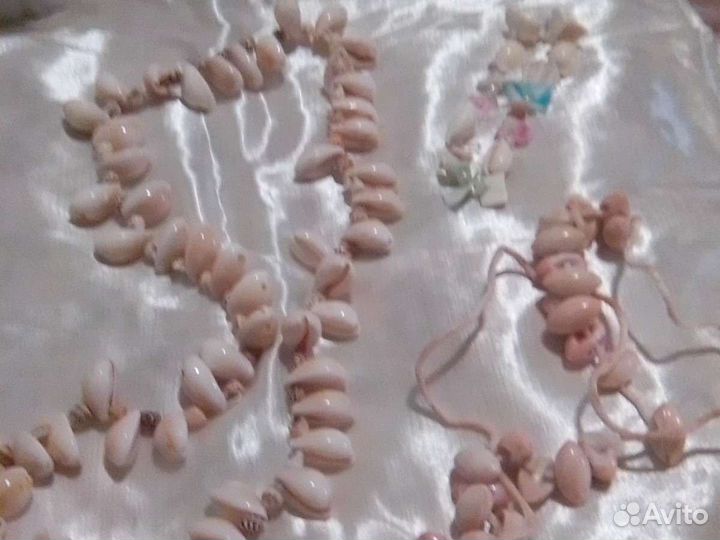 Камень ракушка