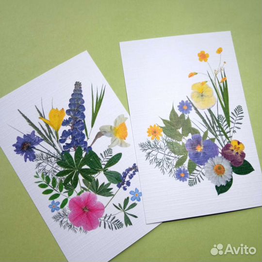 Фото открытки цветы отпечатки настоящих цветов