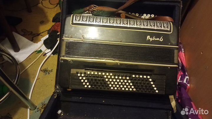 Баян рубин 6