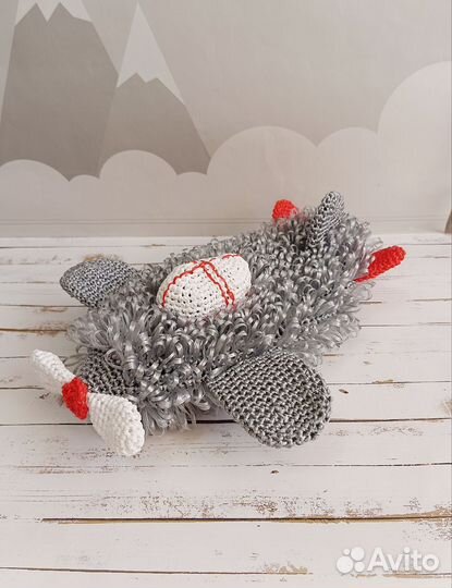 Самолёт для купания