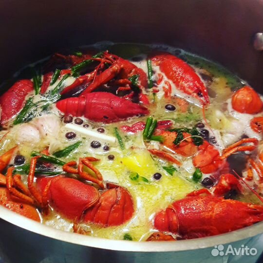 Раки живые / варёные