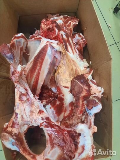 Кости для собак