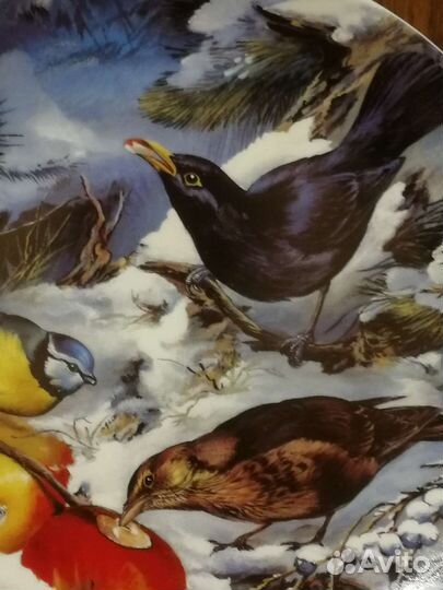 Тарелки настенные Птицы зимой