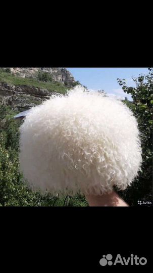 Папаха кавказская