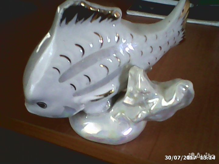 Карп Дулево