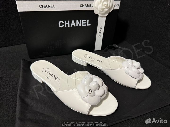 Шлепанцы женские Chanel