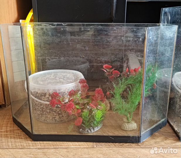 Аквариум