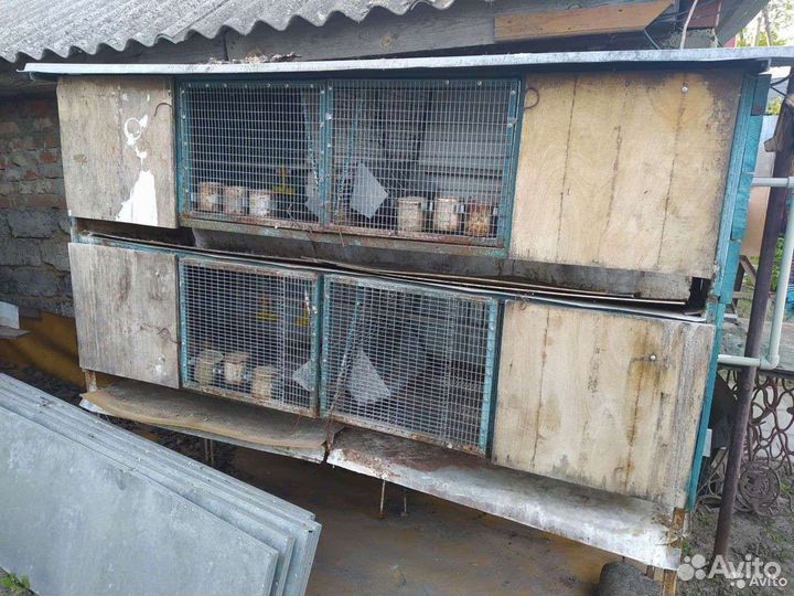 Клетки для кроликов и кур