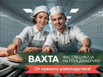 Вахта Оператор конвейра