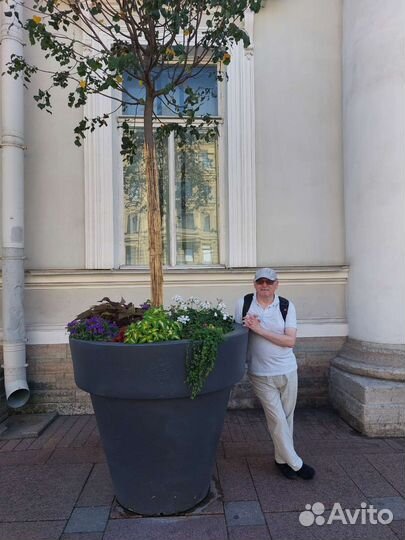 Отмена судебного приказа- снятие ареста