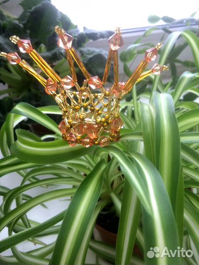 Корона-ободок