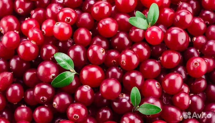 Замороженное пюре Клюква 1кг Агробар