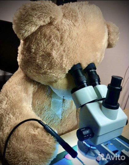 Ремонт iPhone и Смартфонов