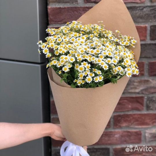 Ромашки для мероприятий