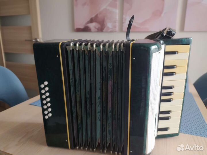 Аккордеон детский