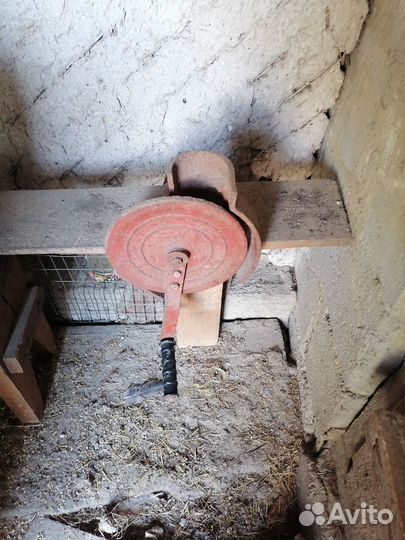 Крупорушка