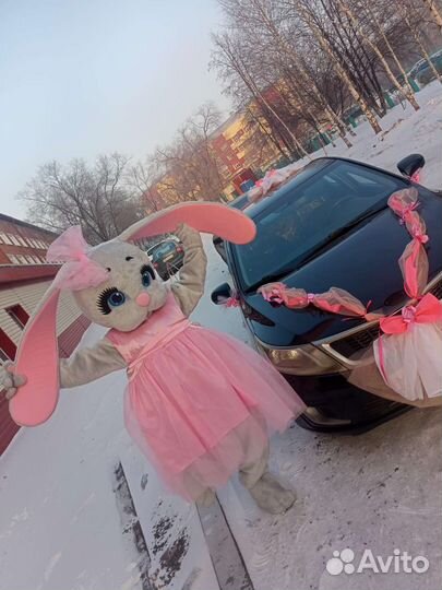 Ростовые куклы, аниматор