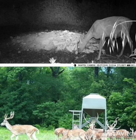 Фотоловушка HC-802A