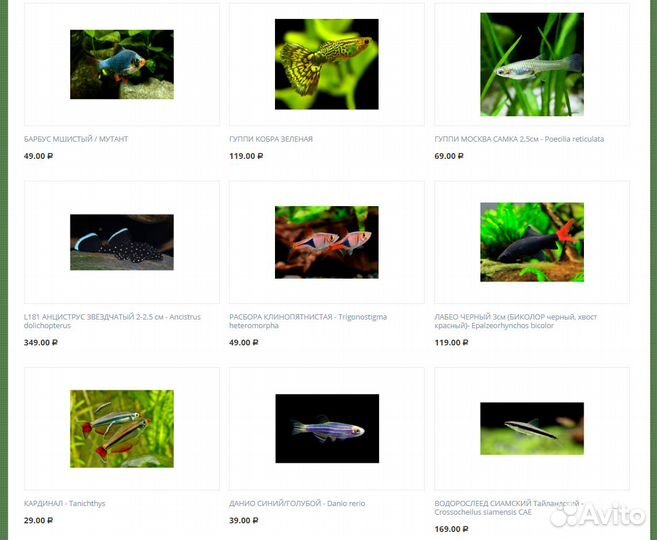 Аквариумные рыбки