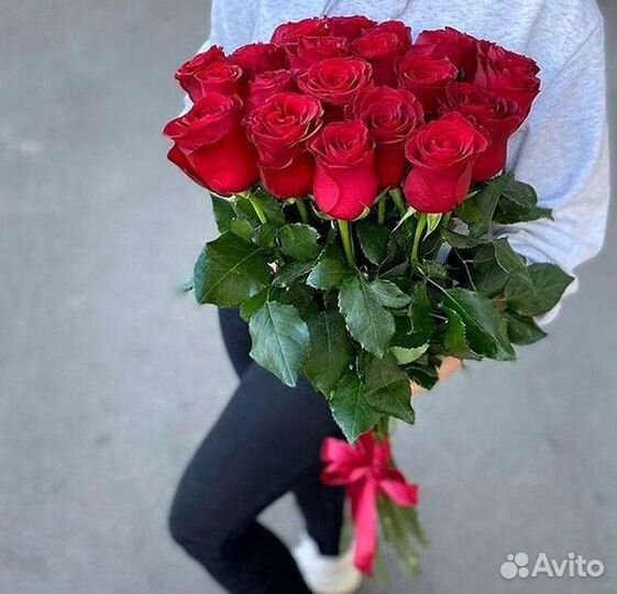 Высокие розы Гигантские Розы 150 160 170 180 190см