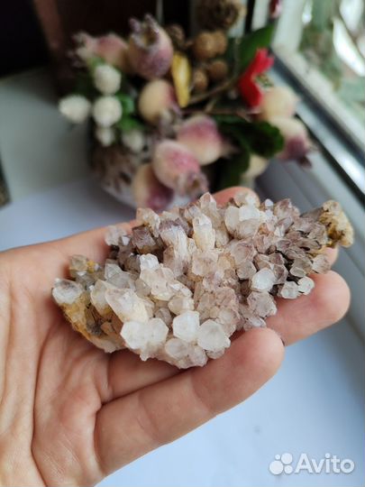 Друзы в асс