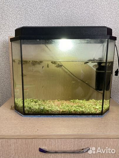 Аквариум
