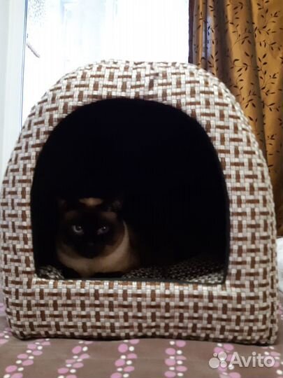 Домик для кошки