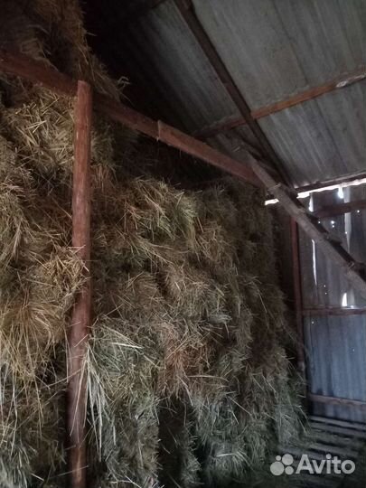 Сено луговое в тюках