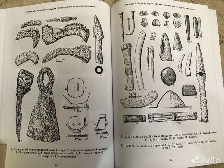 Поздние скифы в Крыму (Дашевская О.Д.)