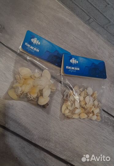 Морские ракушки наборы