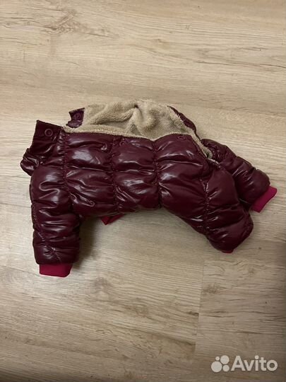 Комбинезон для собак