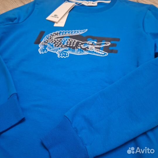 Свитшот мужской lacoste синий