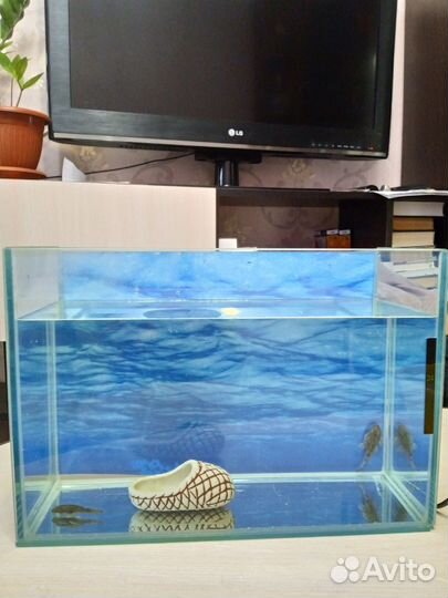 Аквариум