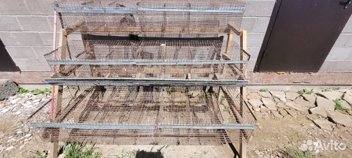 Клетка для кроликов