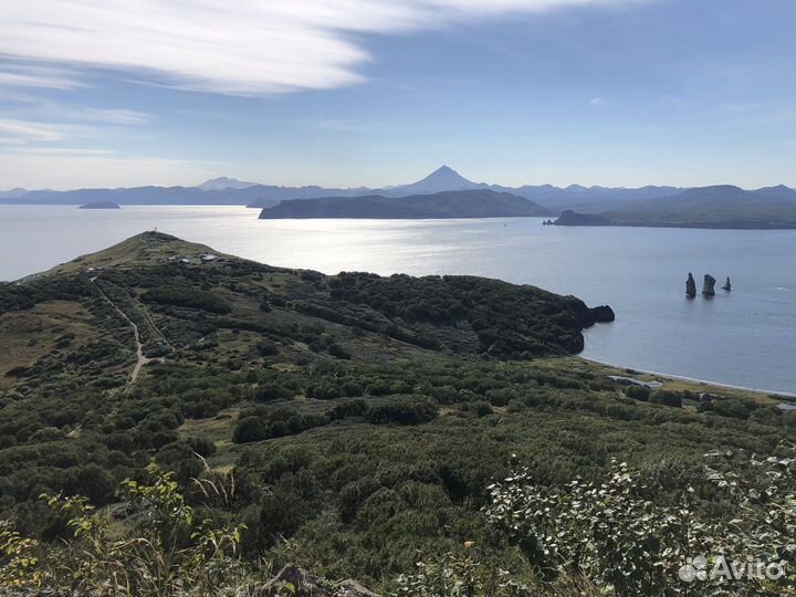 Транспортные услуги, Трансфер, Перевозки, Заброски