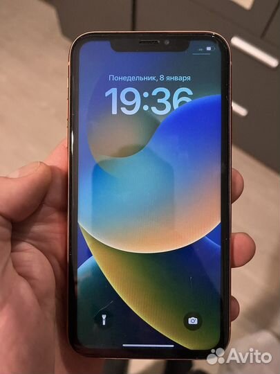 iPhone Xr, 128 ГБ