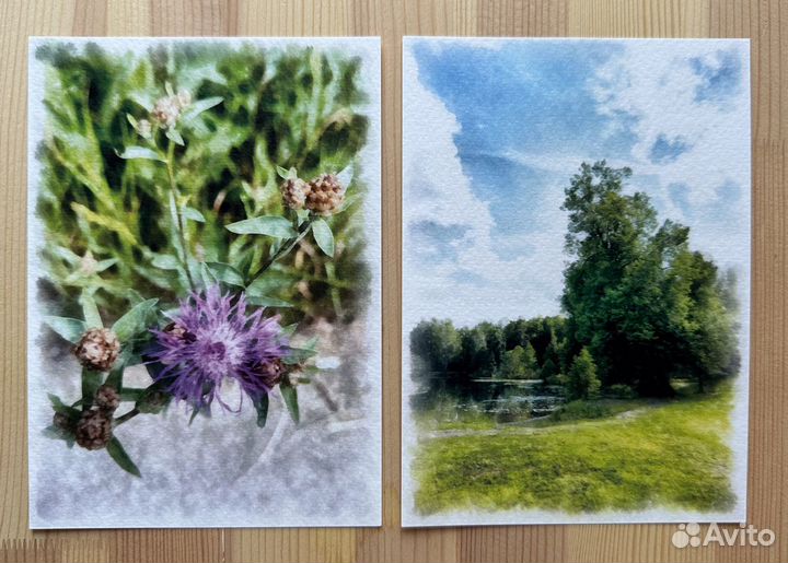 Открытки Санкт-Петербург Подарки Сувениры