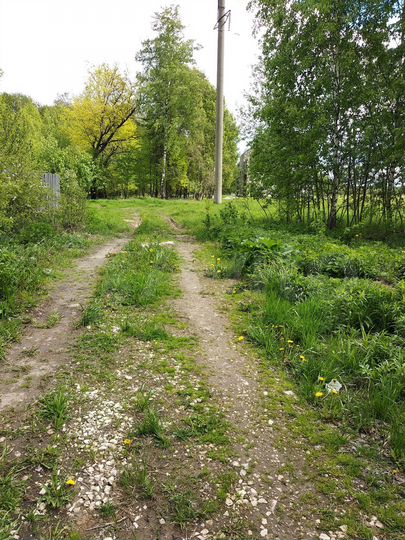 Участок 8 сот. (ИЖС)