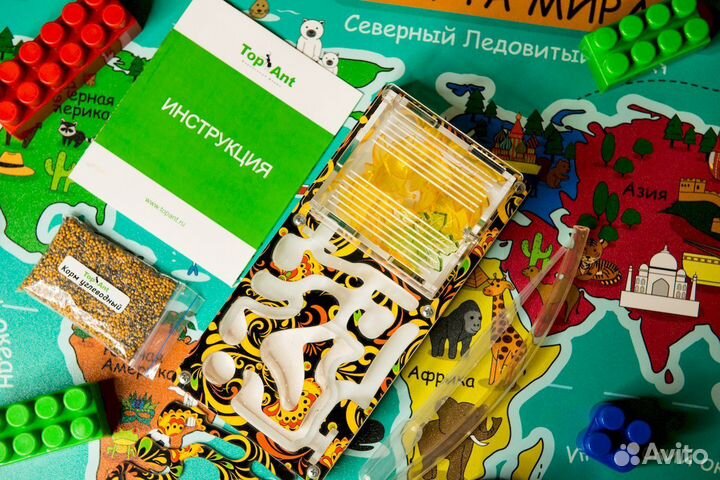 Формикарий/ Подарок для ребенка/ Муравьиная ферма