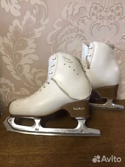 Коньки фигурные Edea, Risport, Wifa Prima Set