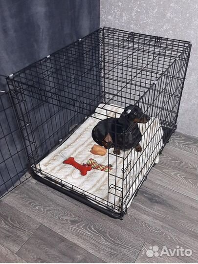 Клетка любого размера в наличии