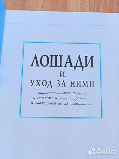 Подарочная книга про лошадей
