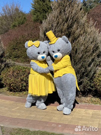 Мишка тедди аниматор